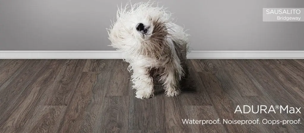white dog shaking off water